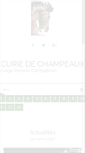 Mobile Screenshot of ecuriesdechampeaux.com