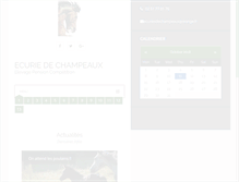 Tablet Screenshot of ecuriesdechampeaux.com